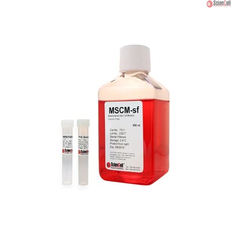 Human Mesenchymal Stem Cell Medium-serum free, 2x 500 ml