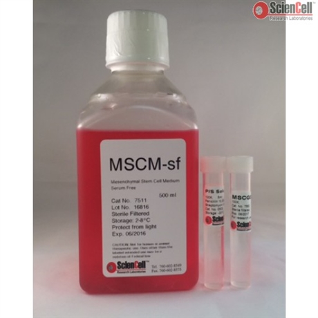 Human Mesenchymal Stem Cell Medium-serum free-basal, 2 x 500 ml