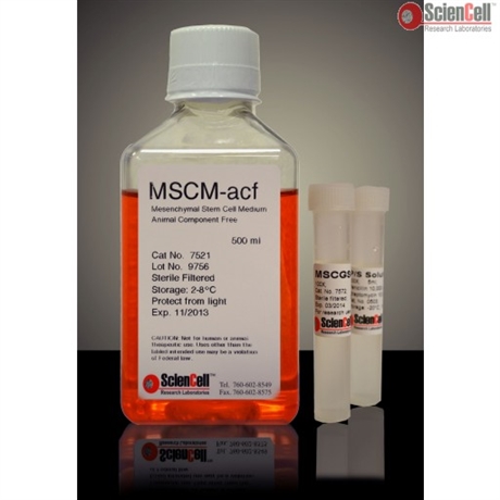 Human Mesenchymal Stem Cell Medium-animal component free, 2 x 500 ml-basal