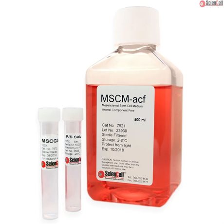 Human Mesenchymal Stem Cell Medium-animal component free, 500 ml
