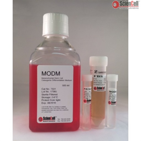 Human Mesenchymal Stem Cell Osteogenic Differentiation Medium, 2 x 500 ml