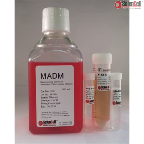 Adipogenic Differentiation Medium, for Human Mesenchymal Stem Cell, 2 x 500 ml