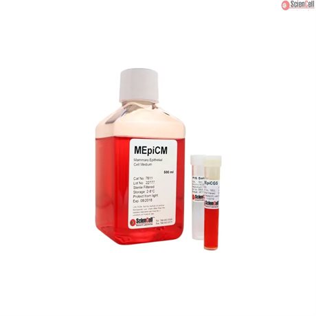 Mammary Epithelial Cell Medium-basal, 2x 500 ml