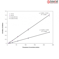 pNPP Phosphatase Assay