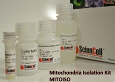 Mitochondria Isolation Kit