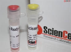 Human Mesenchymal Stem Cell Adipogenesis Detection qPCR Kit