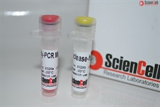 Human Mesenchymal Stem Cell Chondrogenesis Detection qPCR Kit