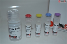 Glutamate Dehydrogenase Assay