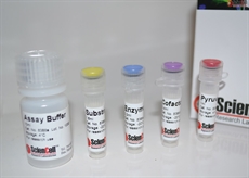 Pyruvate Assay