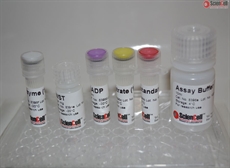 Glucose-6-phosphate Assay