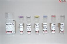 Hexokinase Assay