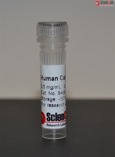 Human Cellular Fibronectin