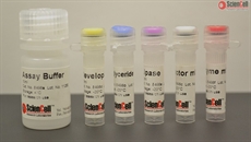 Triglyceride Assay