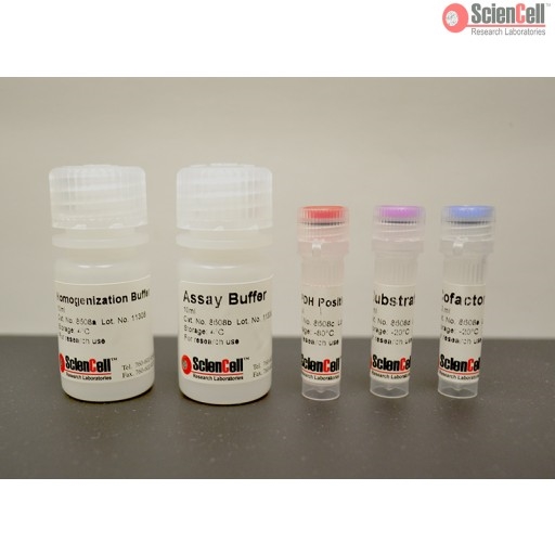 Glycerol-3-phosphate Dehydrogenase Assay