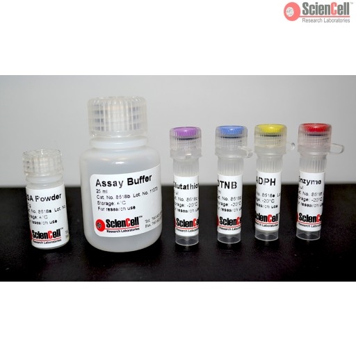 Total Glutathione Assay