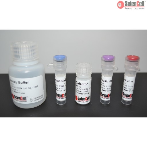 Ammonia Assay