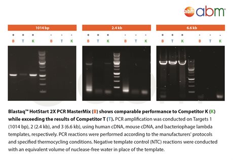 BlasTaq™ HotStart 2X PCR MasterMix 