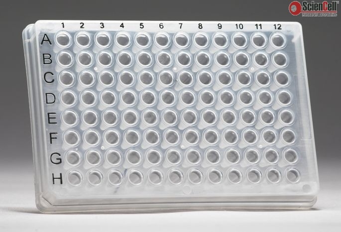 GeneQuery Human Cell Cycle qPCR Array Kit