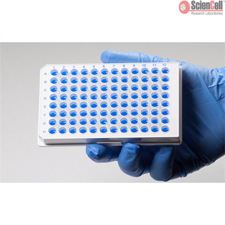 GeneQuery™ Human PTEN-PTENP1 Pseudogene Transcription Analysis qPCR Kit