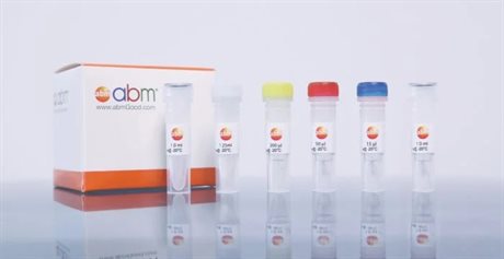 Lentivirus Titer Titration qPCR Kit