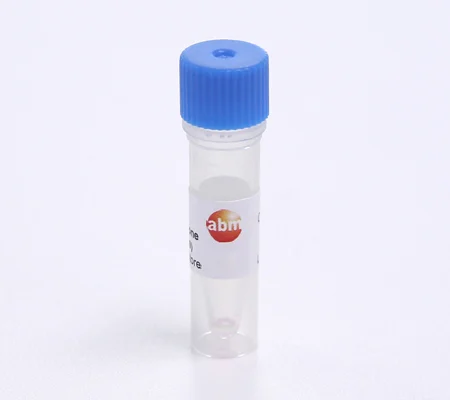 DNase I