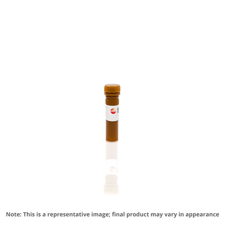 Luciferase Assay Kit