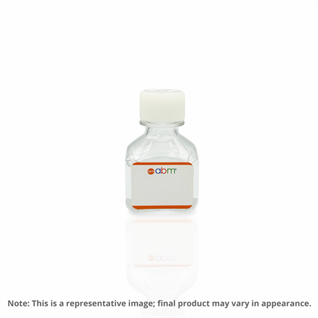 Serum Free Cryopreservation Medium