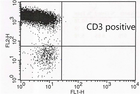 Frozen Human Peripheral Blood Pan-T Cells