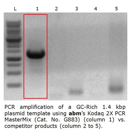 Kodaq 2X PCR MasterMix