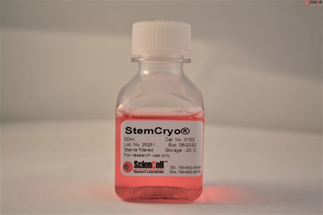 Human Pluripotent Stem Cell Cryopreservation Medium