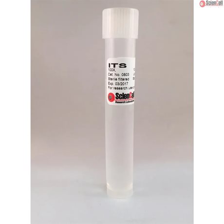 Insulin Transferrin Selenium, 10 ml