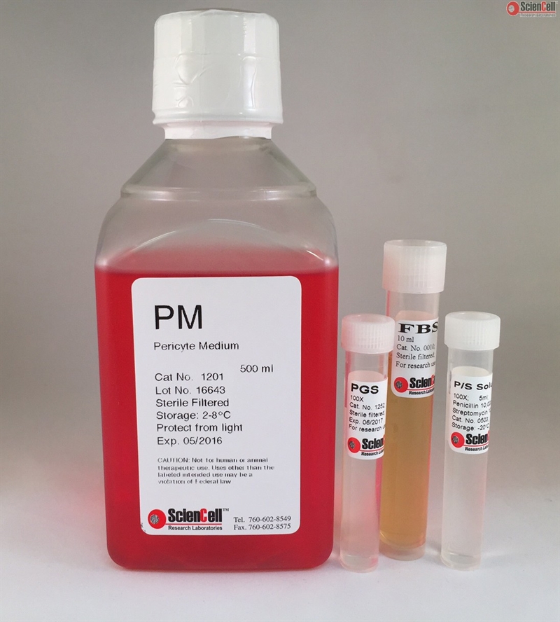 Human Pericyte Medium-complete, 2 x 500 ml