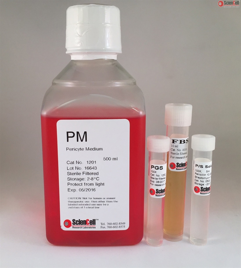 Human Pericyte Medium-basal, 2 x 500 ml