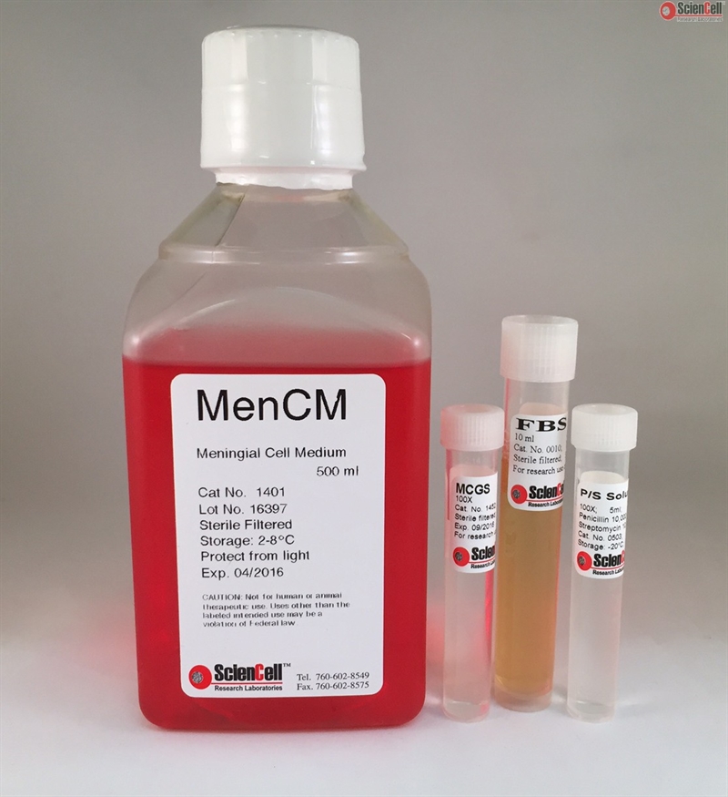 Phenol Red Free Human Meningeal Cell Medium-complete, 2 x 500 ml