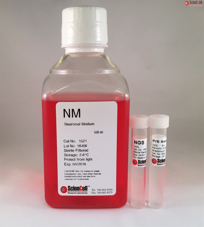 Human Neuronal Culture Medium-complete, 2x 500 ml