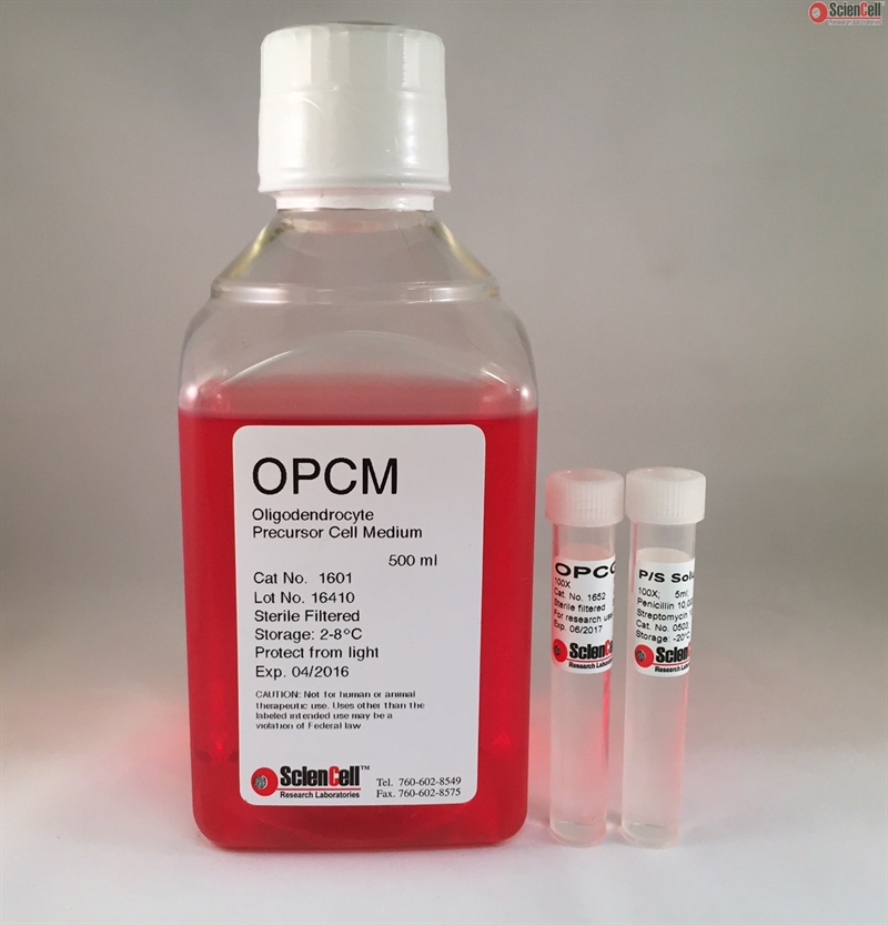 Phenol Red Free Oligodendrocyte Precursor Cell Medium-basal, 2 x 500 ml
