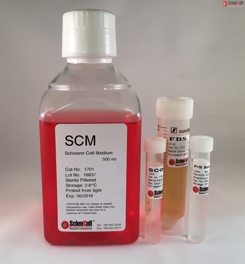 Phenol Red Free Schwann Cell Medium-complete, 2 x 500 ml