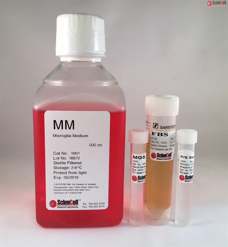 Human Microglia Medium-complete 2 x 500 ml