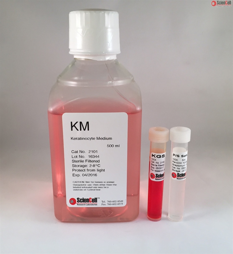 Phenol Red Free Human Keratinocyte Medium-basal, 2 x 500 ml