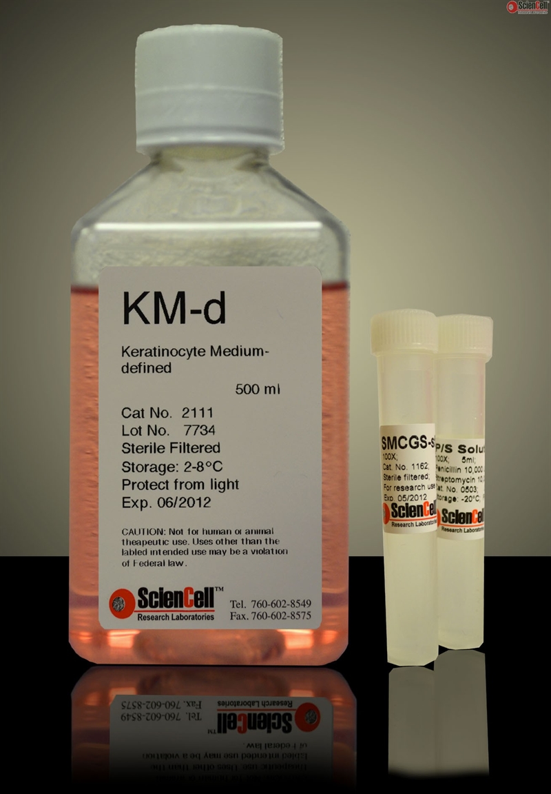 Human Keratinocyte Medium-defined-basal, 2 x 500 ml