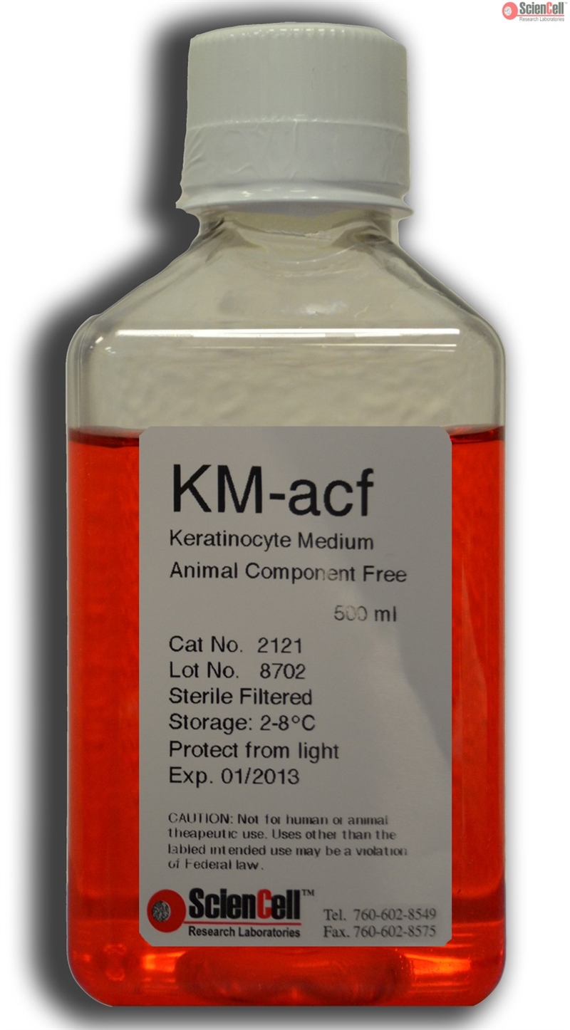 Human Keratinocyte Medium-animal component free, 2 x 500 ml
