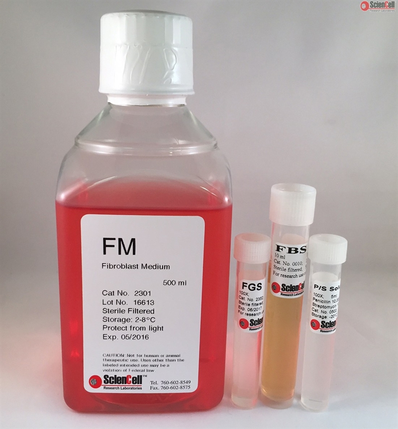 Human Fibroblast Medium, 2 x 500 ml