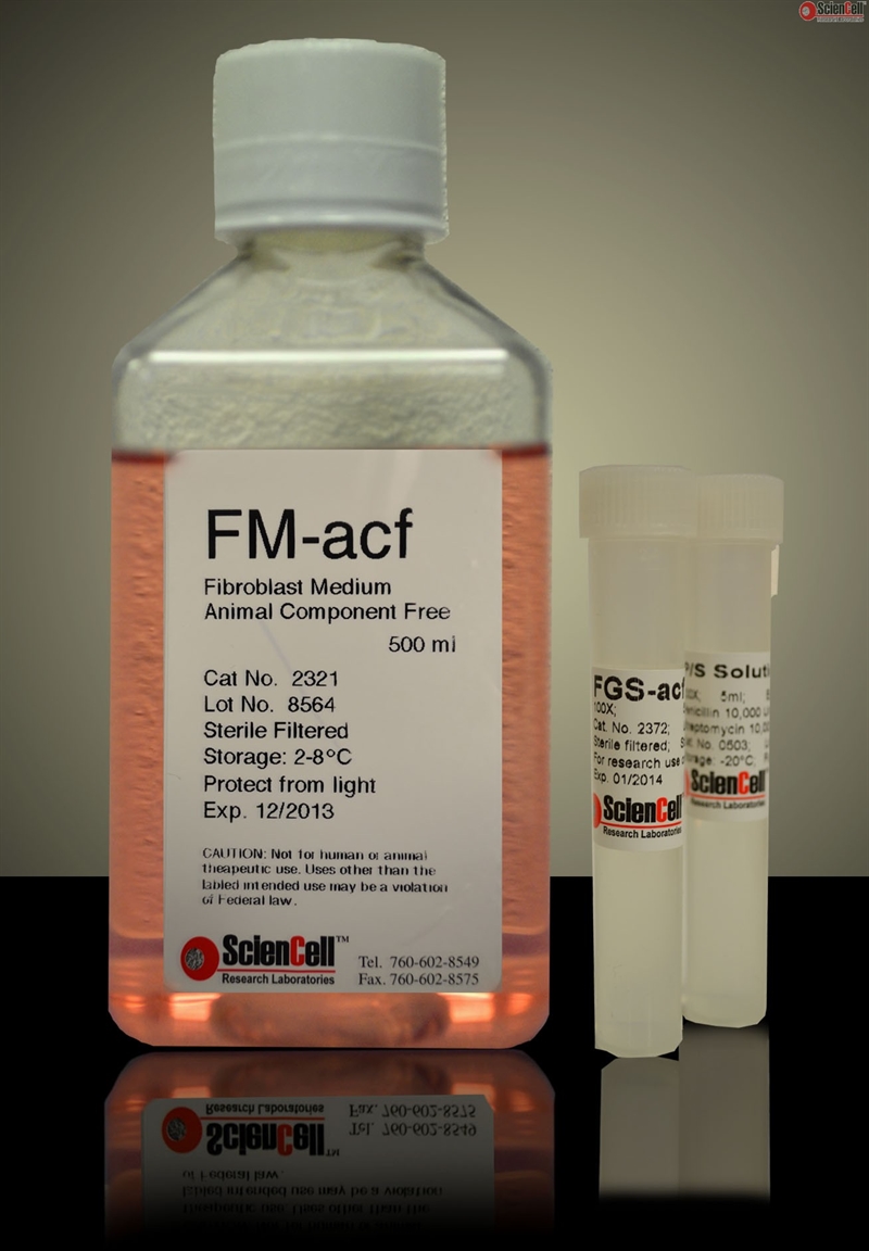 Human Fibroblast Medium-animal component free-basal, 2 x 500 ml