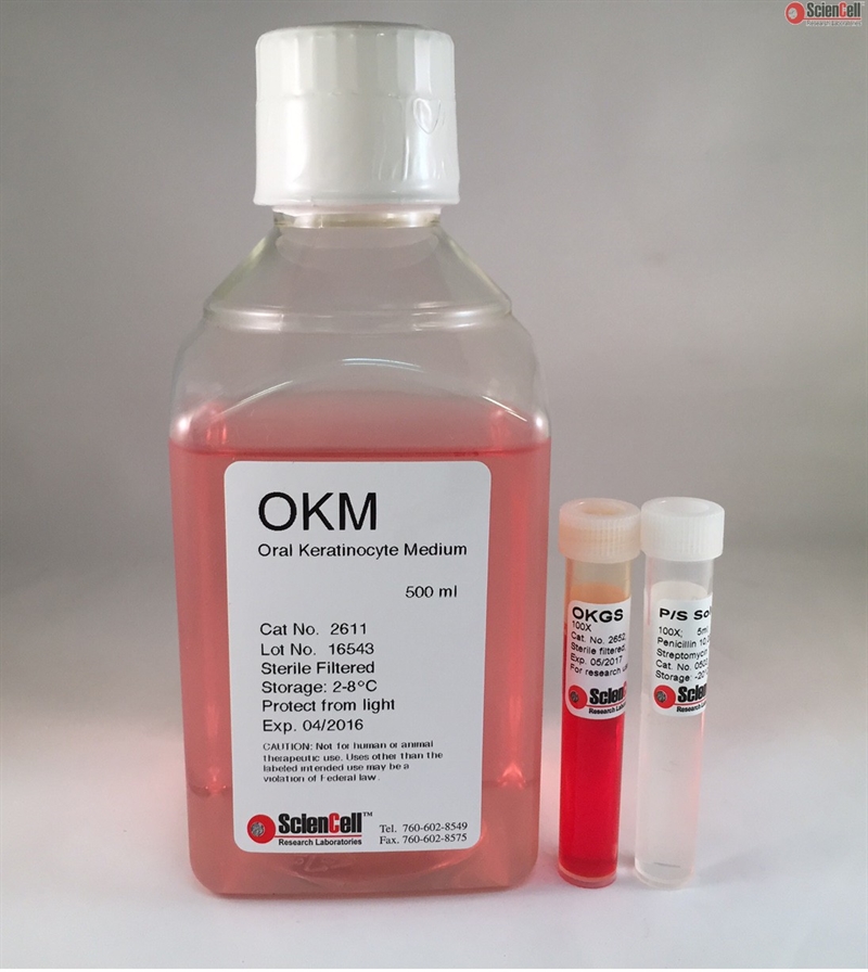 Human Oral Keratinocyte Medium-basal-phenol red free, 2 x 500 ml