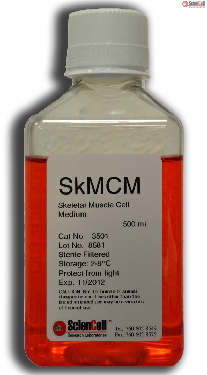 Human Skeletal Muscle Cell Medium-phenol red free, 2 x 500 ml