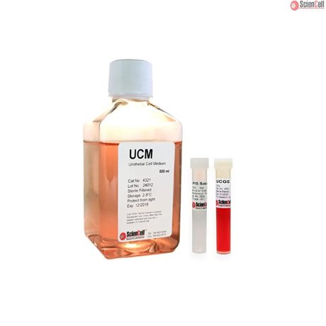 Human Urothelial Cell Medium, 2x 500 ml