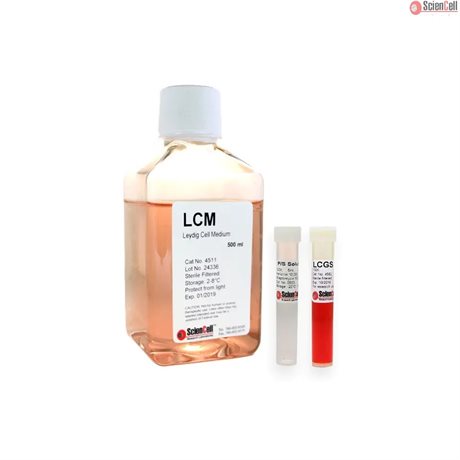 Human Leydig Cell Medium-basal, 2x 500 ml