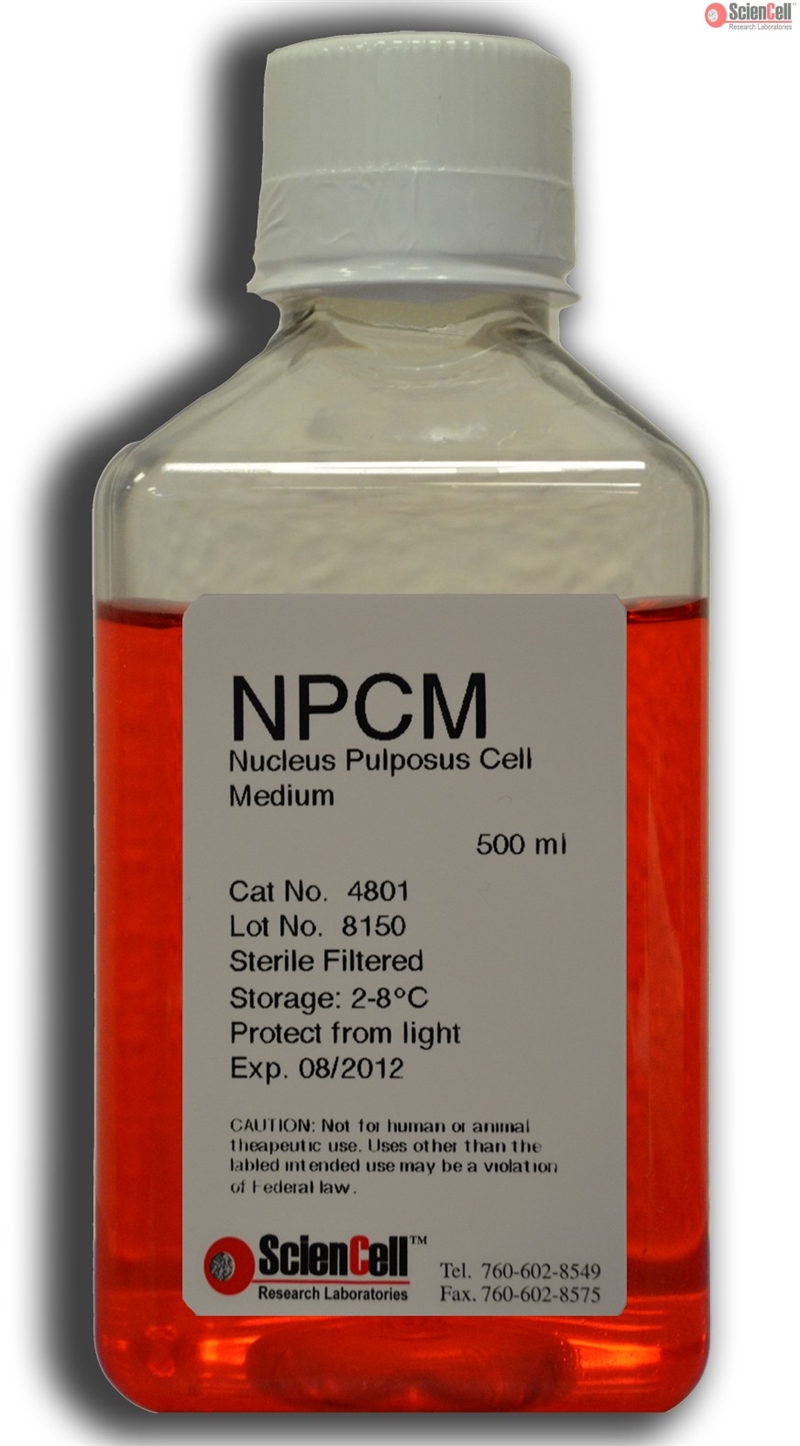 Human Nucleus Pulposus Cell Medium-basal, 2 x 500 ml