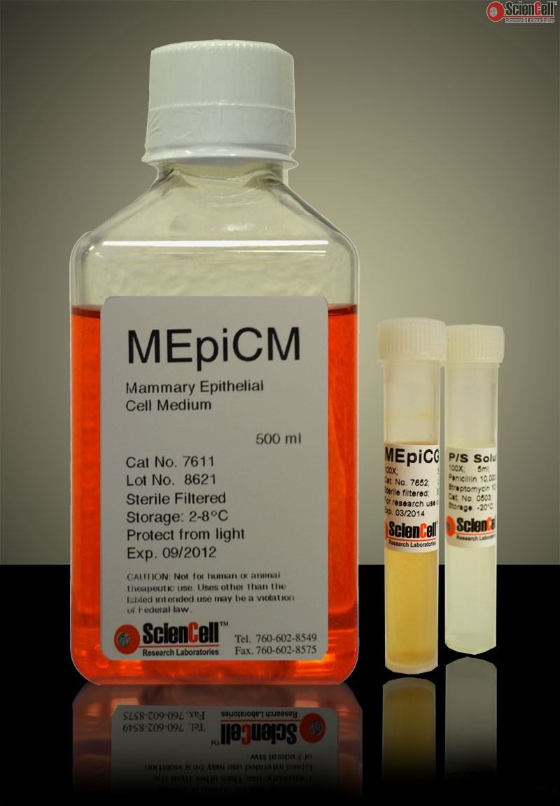 Mammary Epithelial Cell Medium-phenol red free, 2 x 500 ml