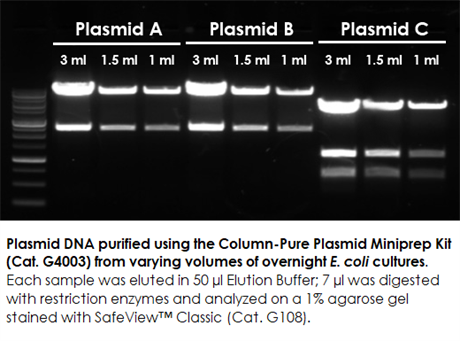 Column-Pure Plasmid Miniprep Kit